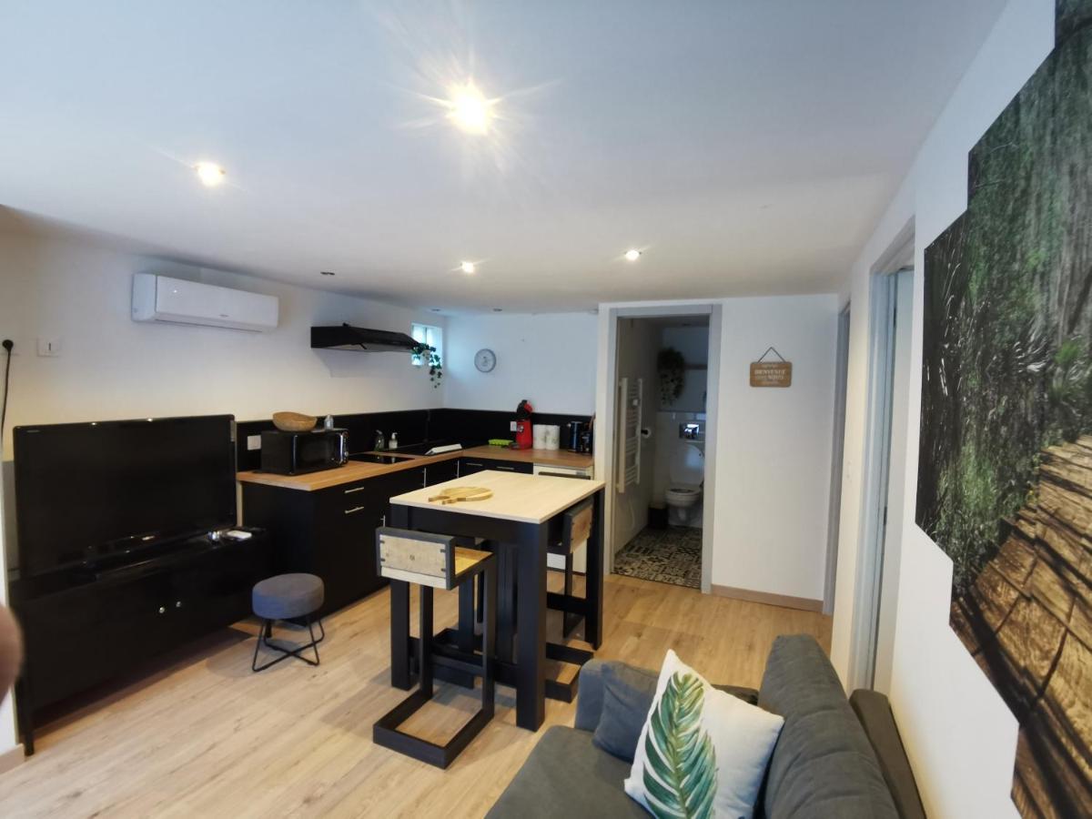 Gite 2 Chambres Avec Piscine Sernhac Экстерьер фото